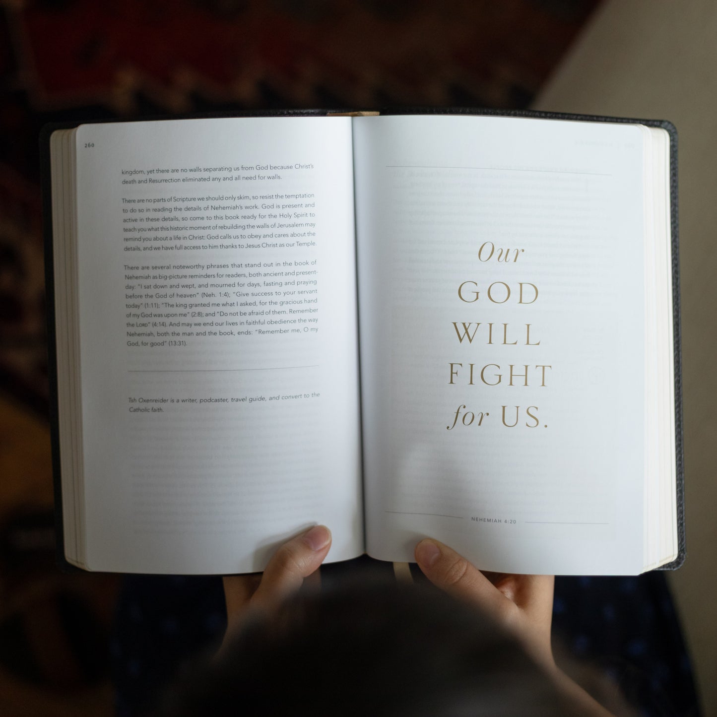 The Word on Fire Bible (Volume V): Exile and Return