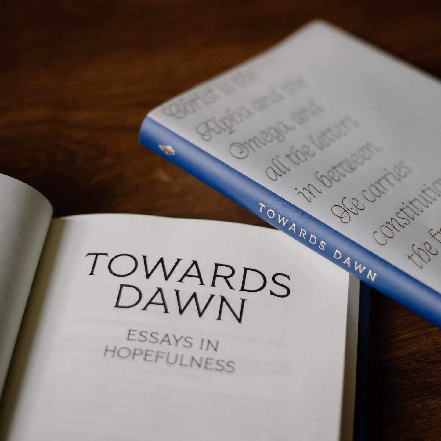 Towards Dawn: Essays in Hopefulness