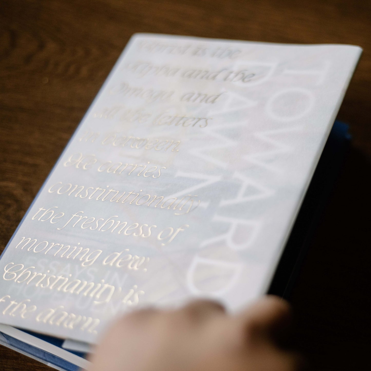Book titled "Towards Dawn: Essays in Hopefulness" with elegant gold embossed text on a white cover, reflecting Catholic themes of hope, by Bishop Erik Varden, hardcover 9781685782740