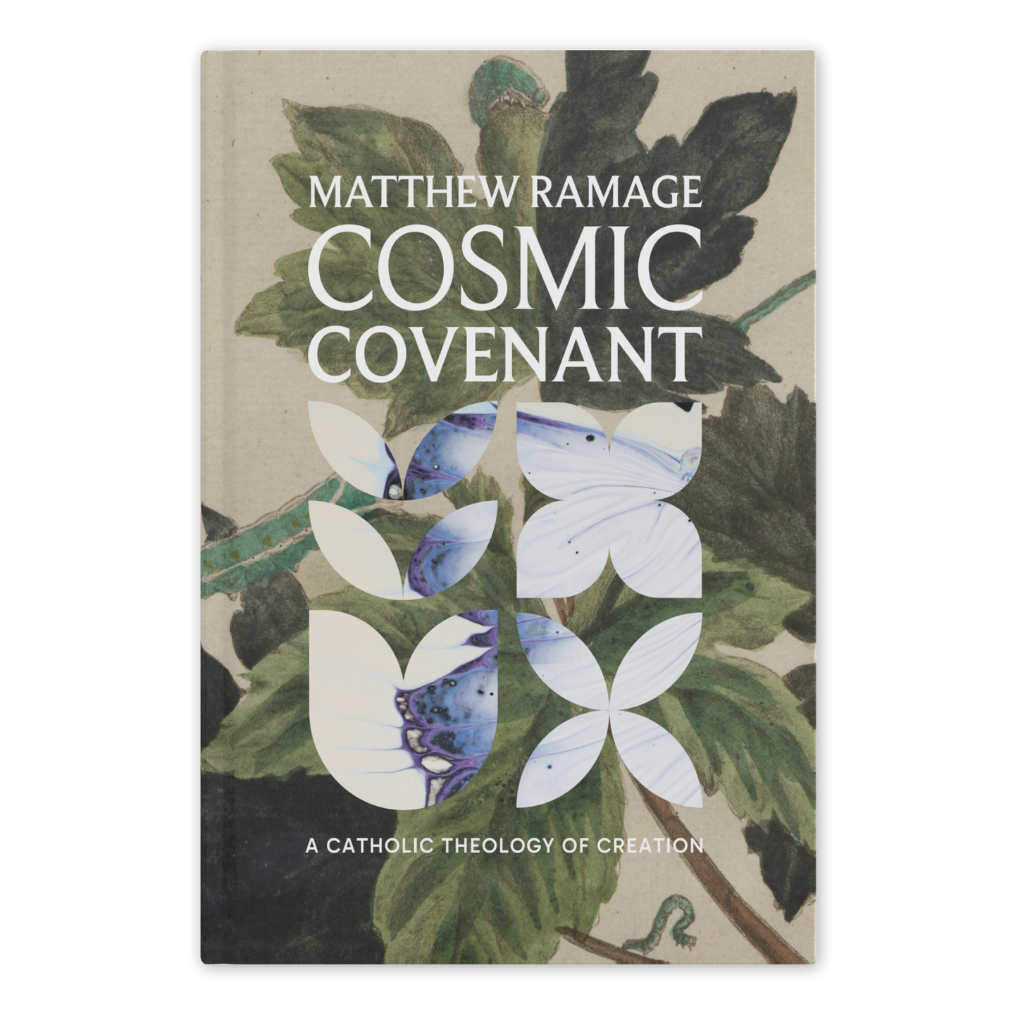 Cosmic Covenant: A Catholic Theology of Creation
