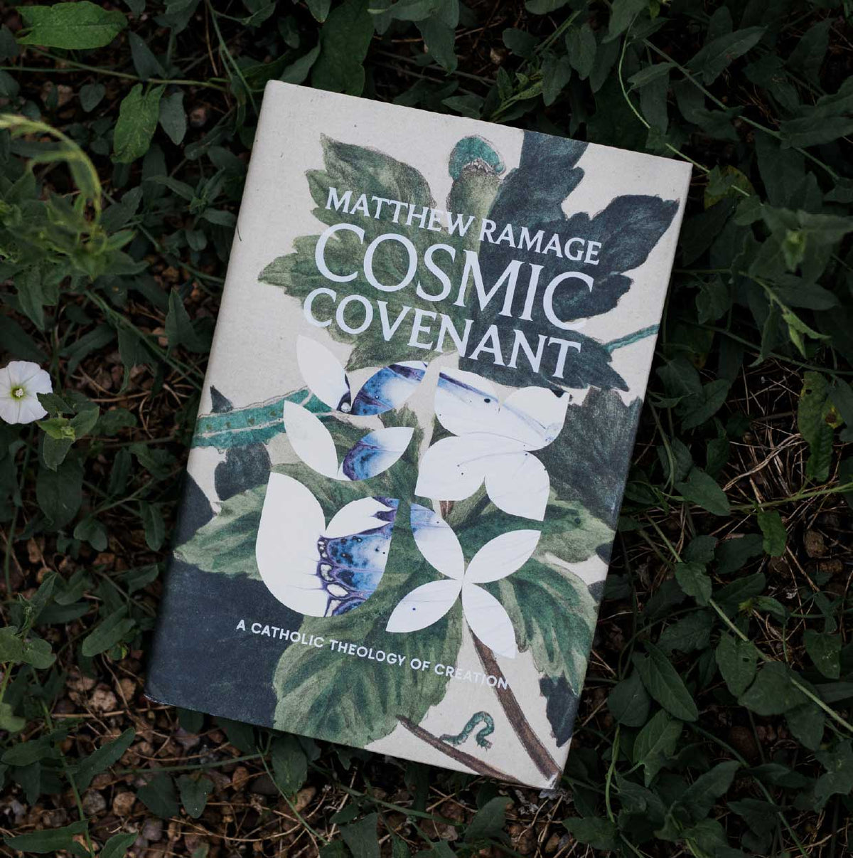 Cosmic Covenant: A Catholic Theology of Creation
