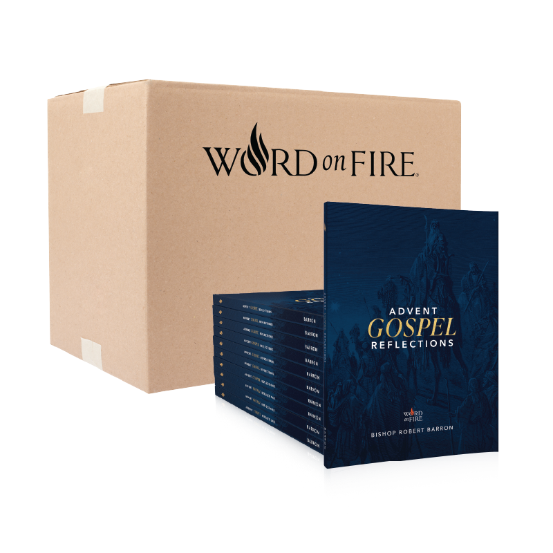 2023 Advent Gospel Reflections - 20 Pack
