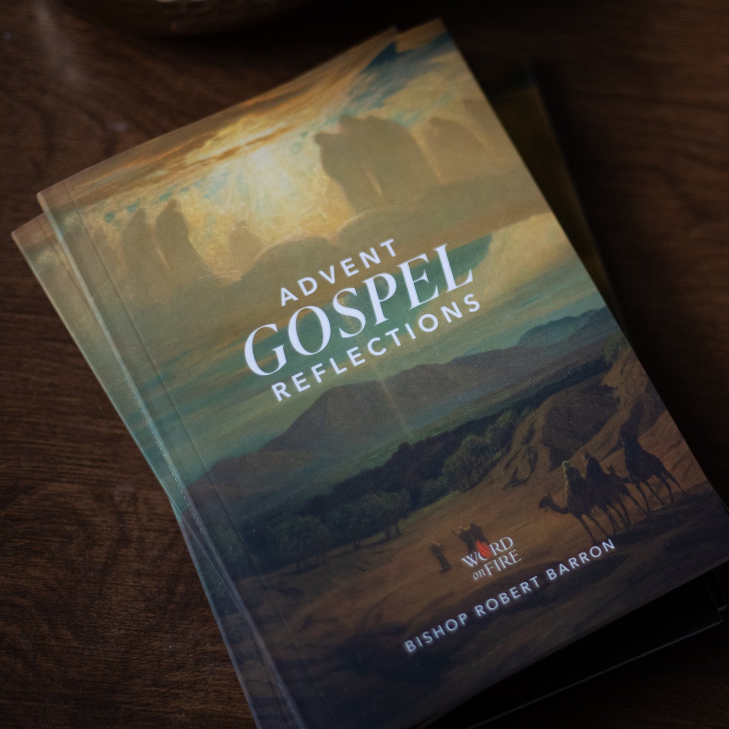 Advent Gospel Reflections 2025