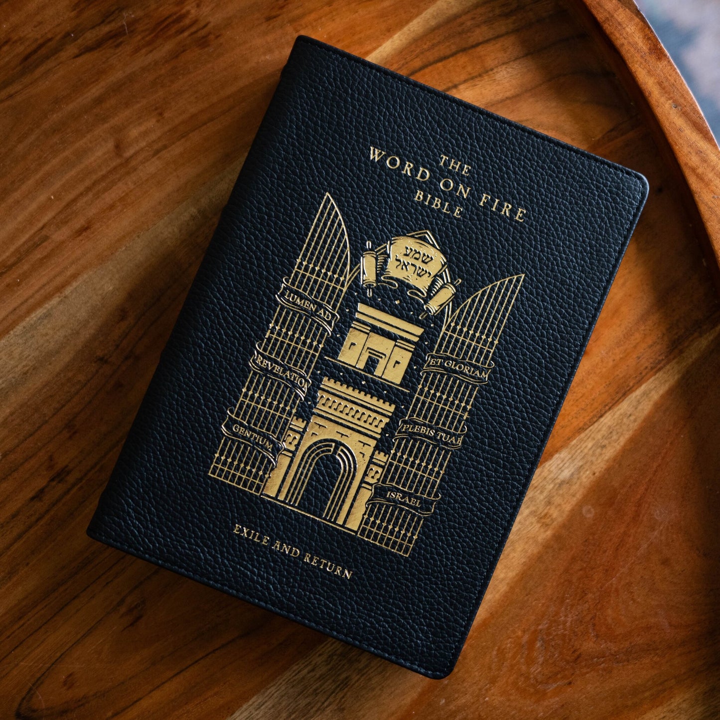 The Word on Fire Bible (Volume V): Exile and Return