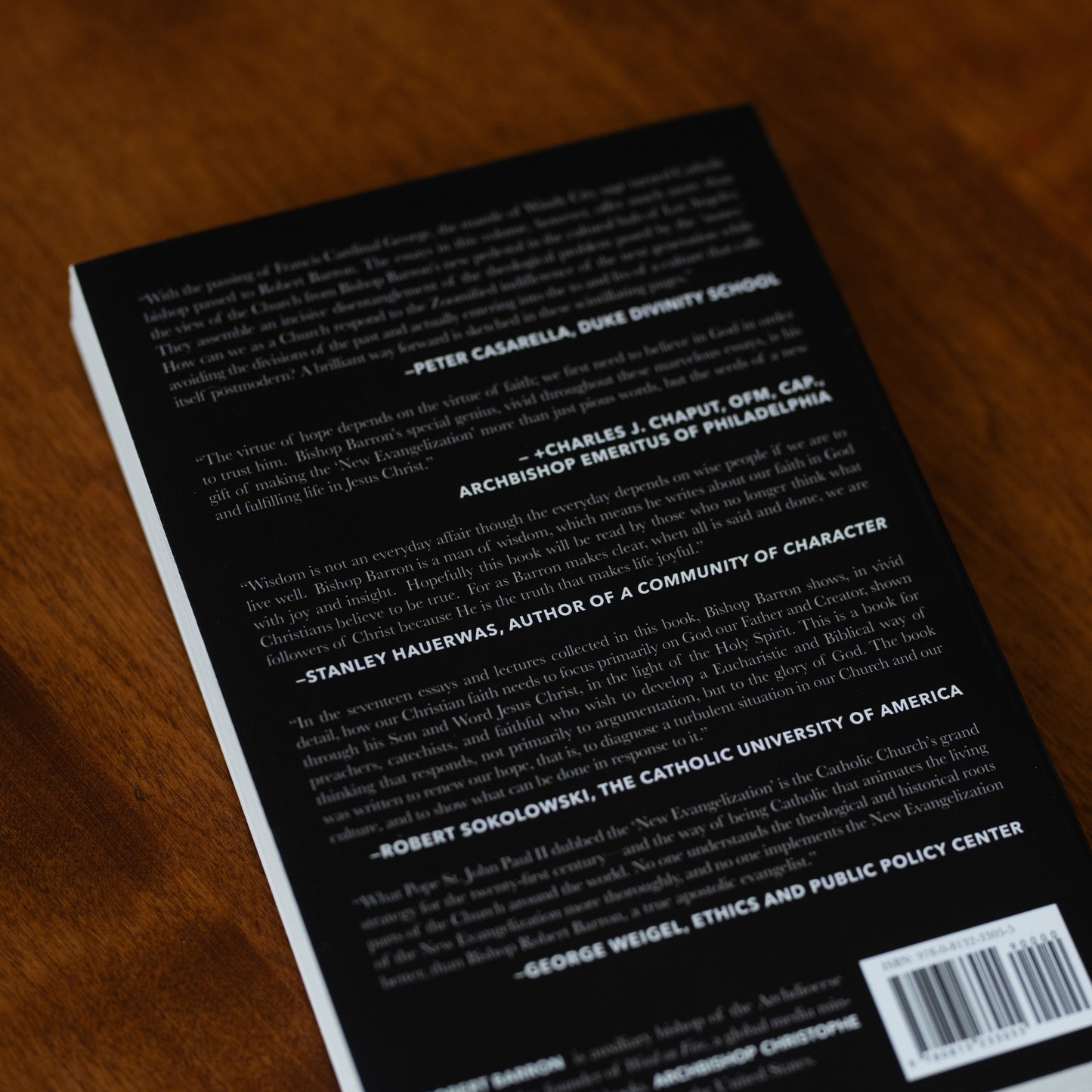 Renewing Our Hope: Essays for the New Evangelization