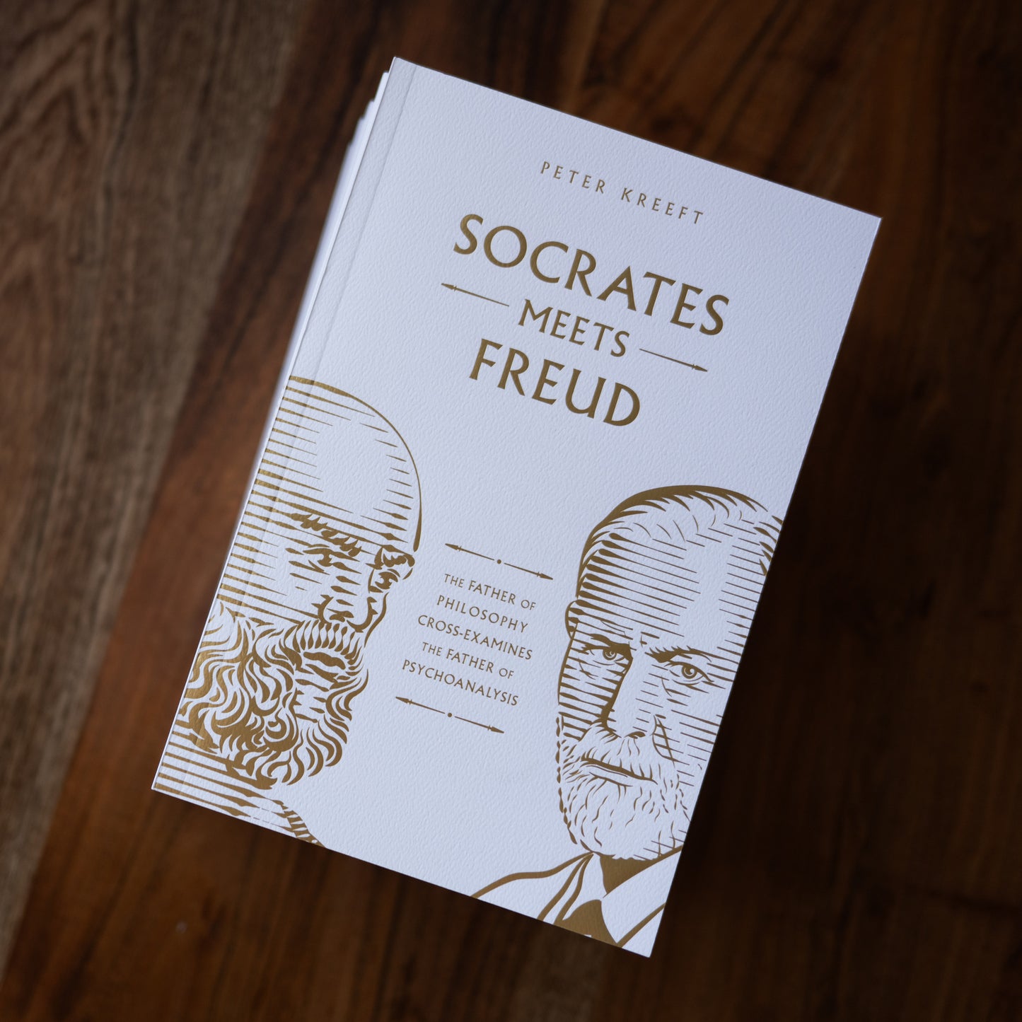Socrates Meets Freud
