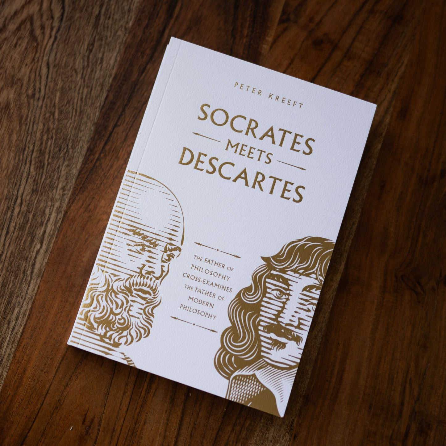 Socrates Meets Descartes