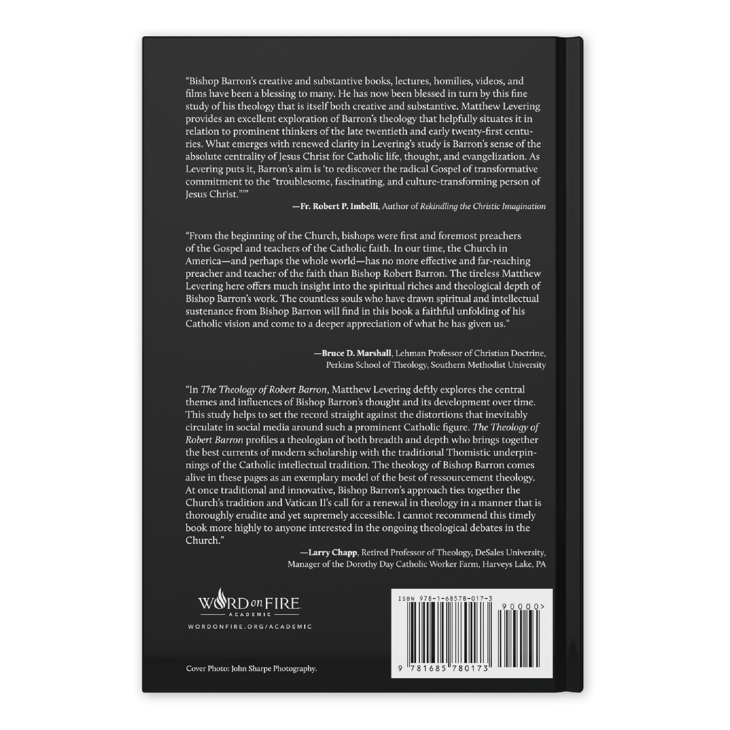 The Theology of Robert Barron