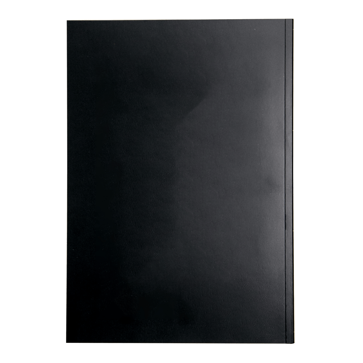 The Word on Fire Bible (Volume V): Exile and Return