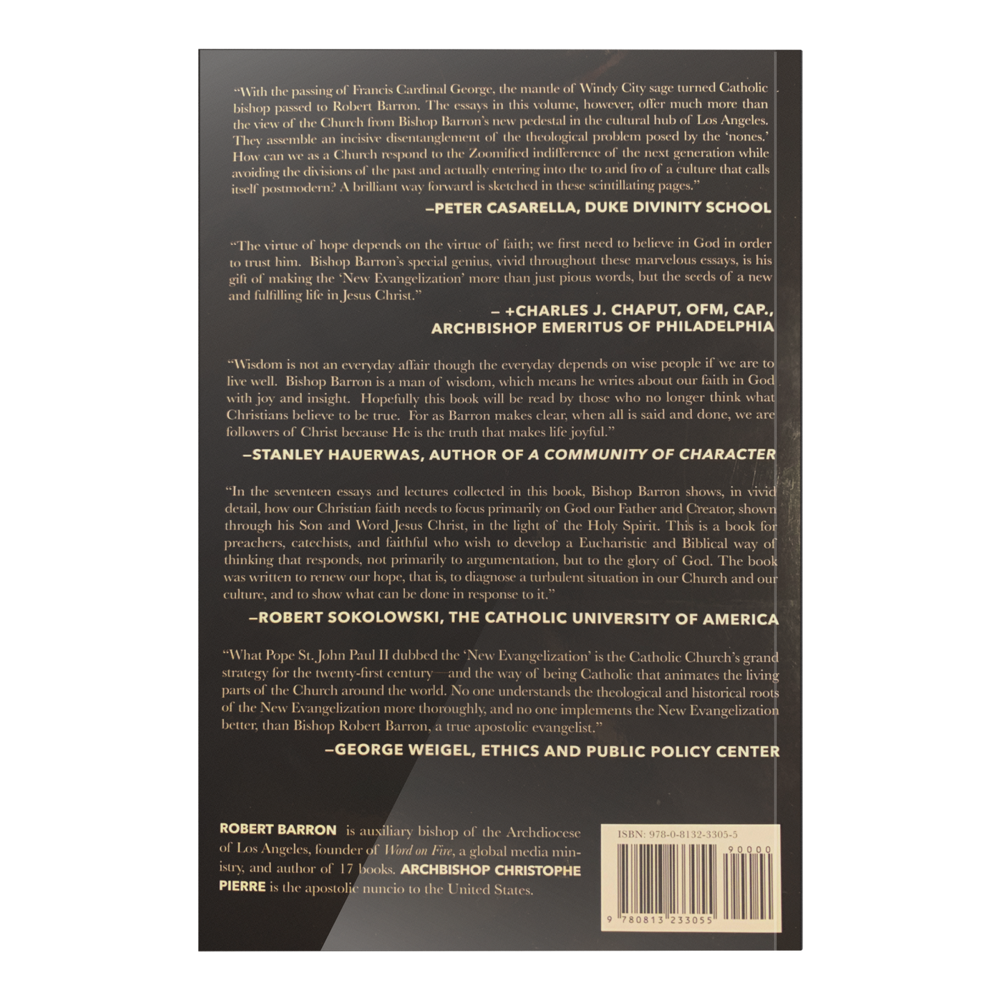 Renewing Our Hope: Essays for the New Evangelization