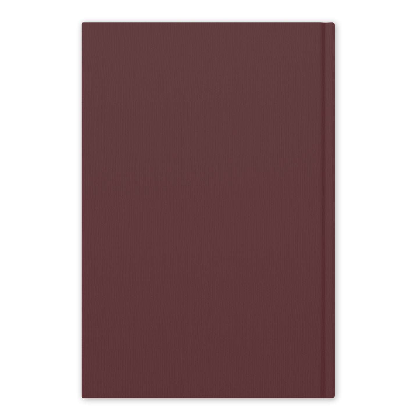 The Word on Fire Vatican II Collection: Constitutions