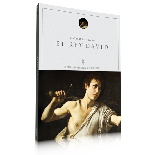 El Rey David - Guía de Estudio