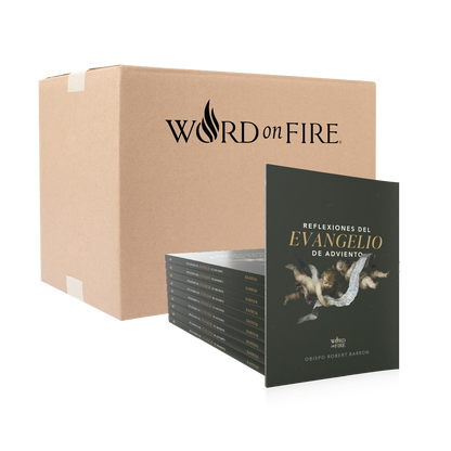 Advent Gospel Reflections 2026