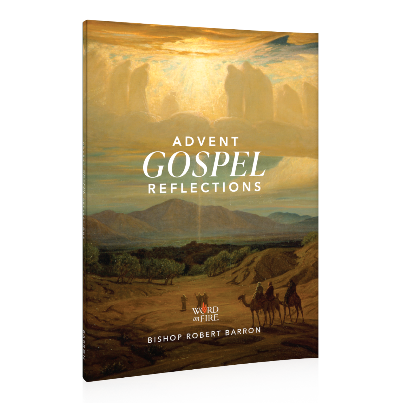 Advent Gospel Reflections 2025
