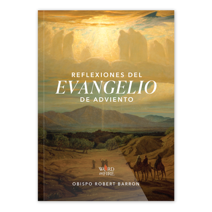 Advent Gospel Reflections 2025