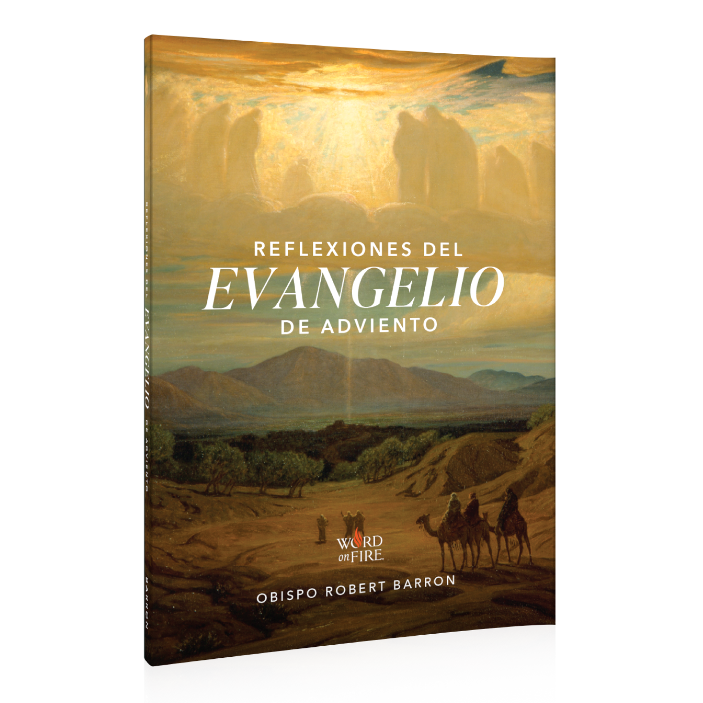 Advent Gospel Reflections 2025