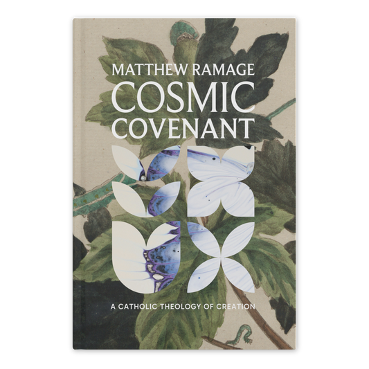 Cosmic Covenant: A Catholic Theology of Creation