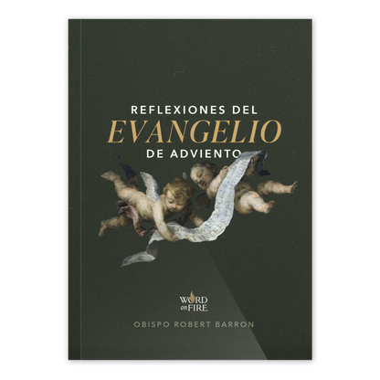 Advent Gospel Reflections 2026