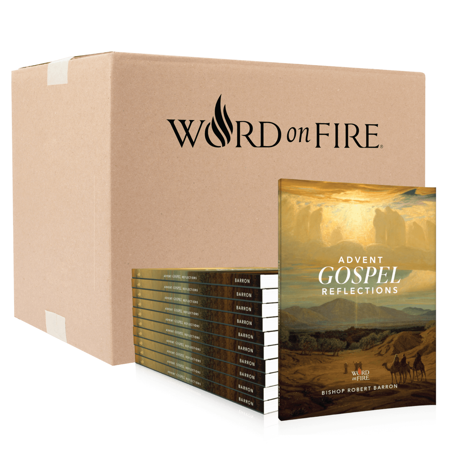 Advent Gospel Reflections 2025