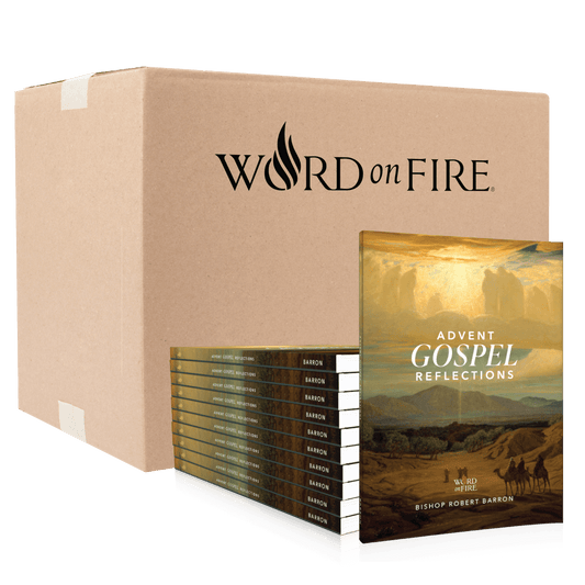 Advent Gospel Reflections 2025