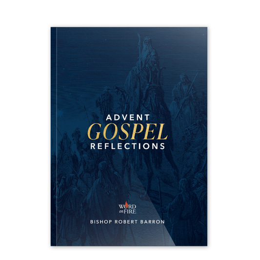 Advent 2023 Daily Gospel Reflections - 20 Pack