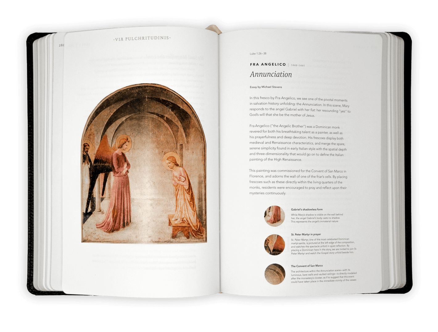 The Word on Fire Bible (Volume I): The Gospels The Word on Fire Bible (Volume I): The Gospels