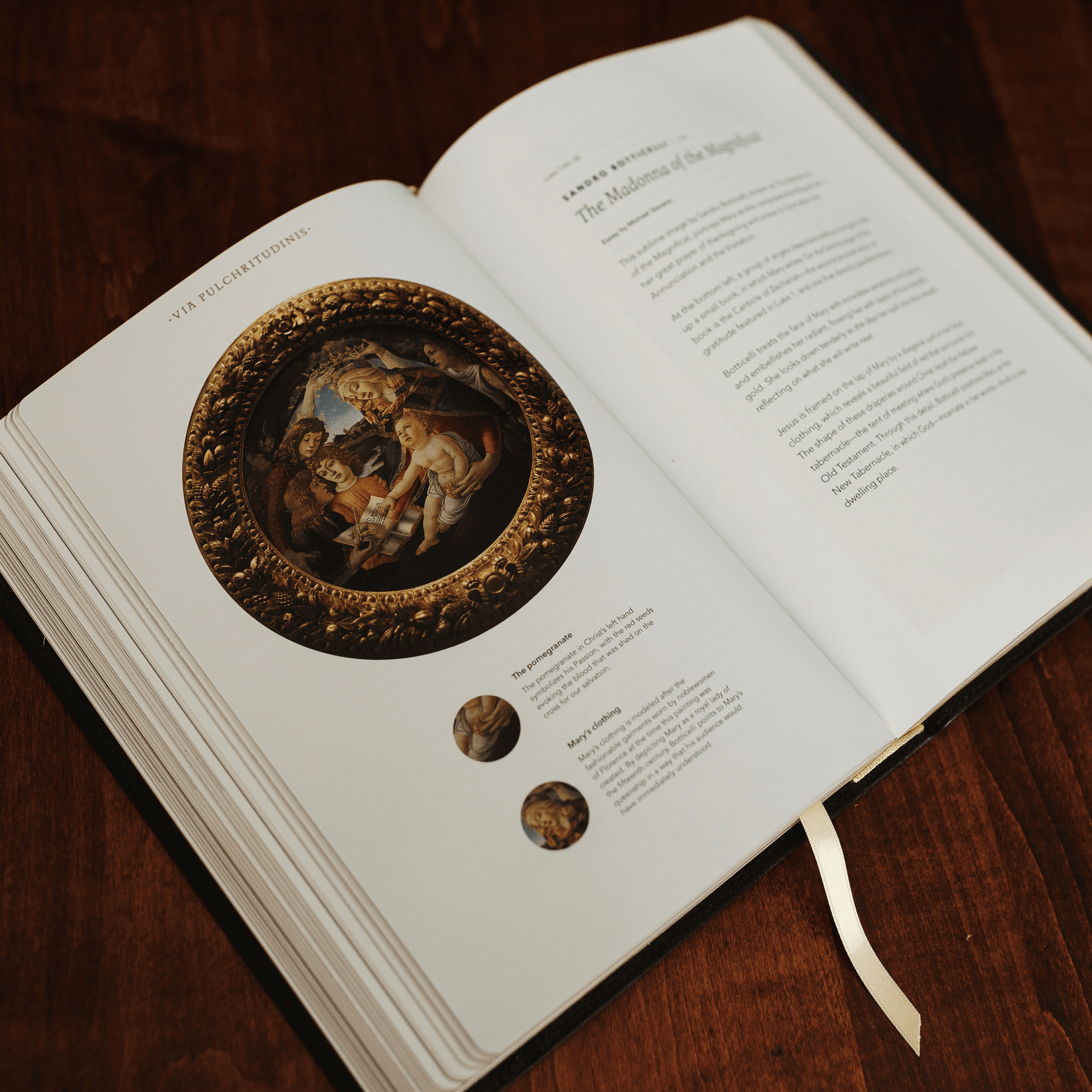 The Word on Fire Bible (Volume I): The Gospels The Word on Fire Bible (Volume I): The Gospels
