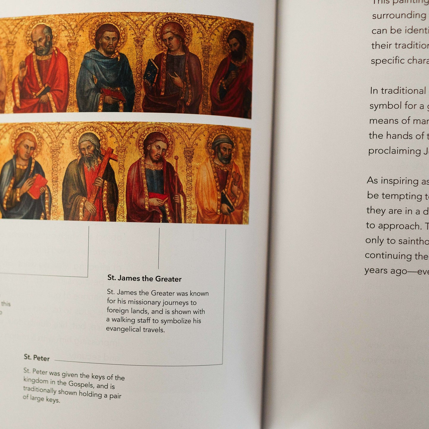 The Word on Fire Bible (Volume I): The Gospels