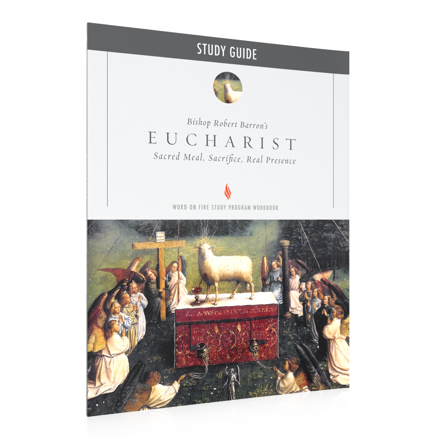 Eucharist Study Guide