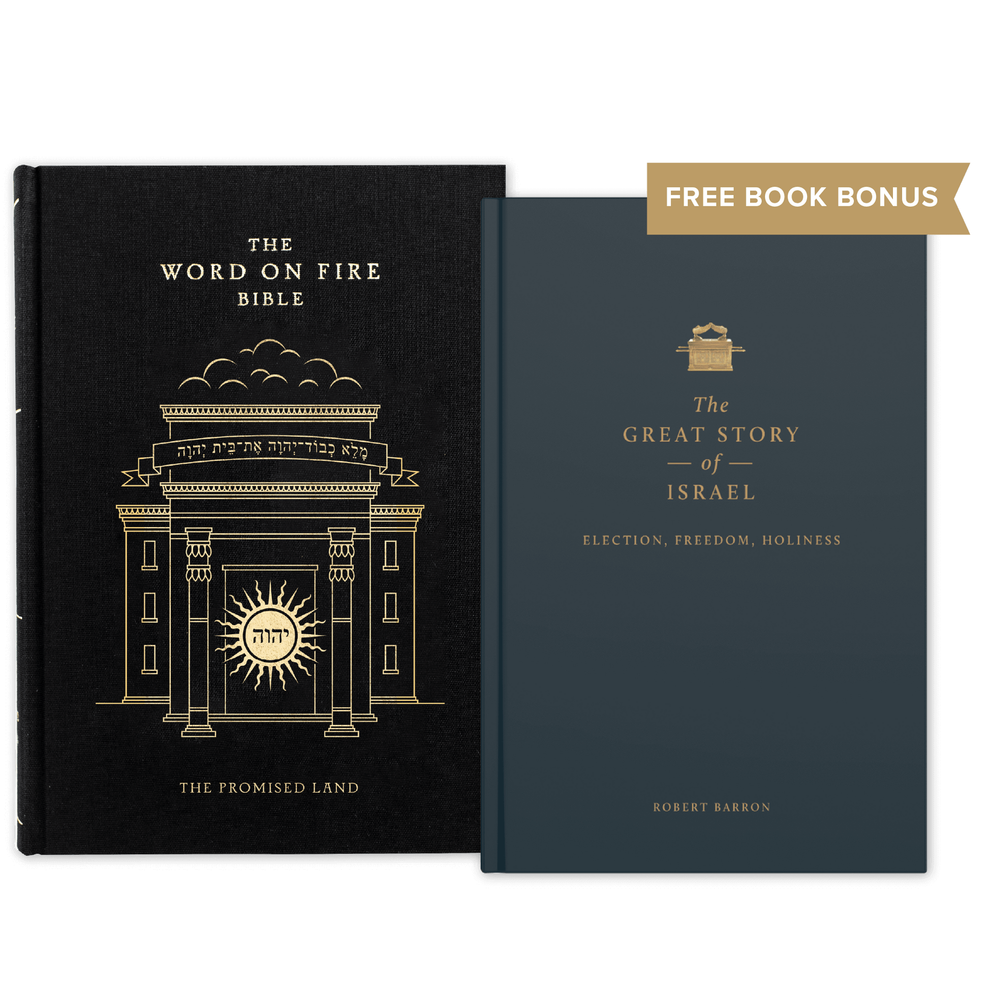 The Word on Fire Bible (Volume IV): The Promised Land Bundle