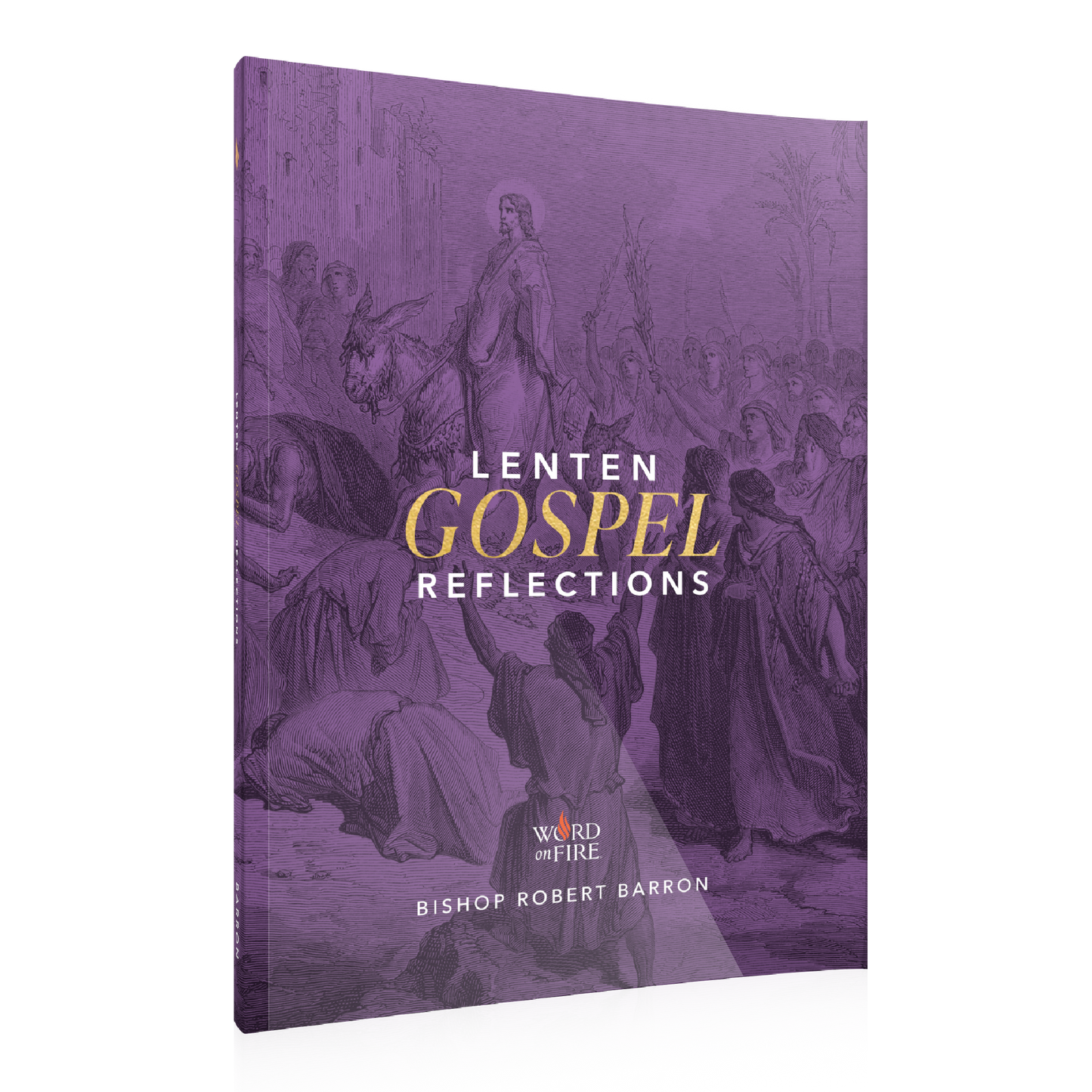 Lenten Gospel Reflections 2024 - Box of 20