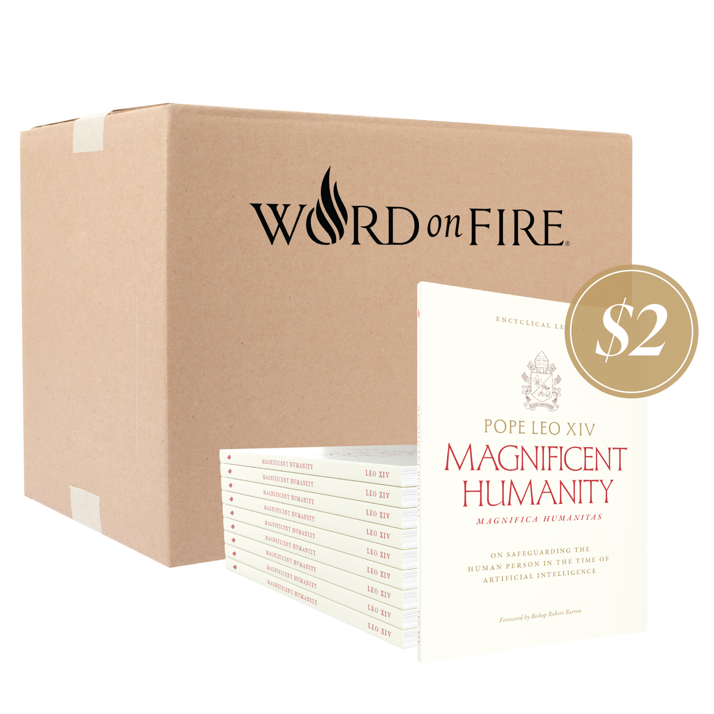 Box of 20 'Magnificent Humanity' books by Pope Leo XIV, published by Word on Fire