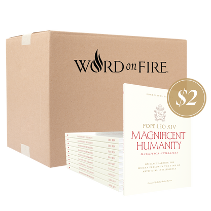 Box of 20 'Magnificent Humanity' books by Pope Leo XIV, published by Word on Fire