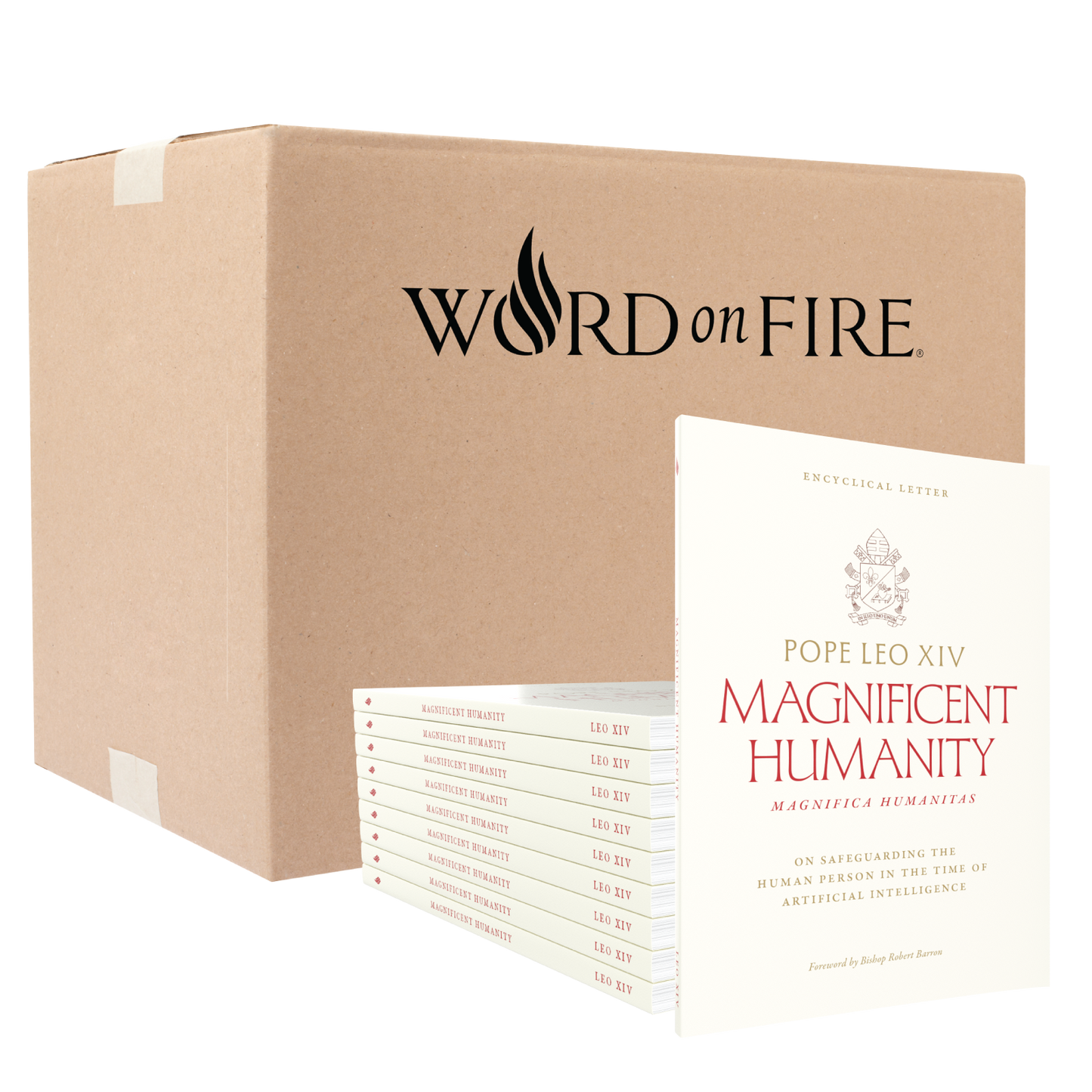 Box of 20 copies of Magnifica Humanitas (Magnificent Humanity) by Pope Leo XIV with a foreword by Bishop Robert Barron, published by Word on Fire