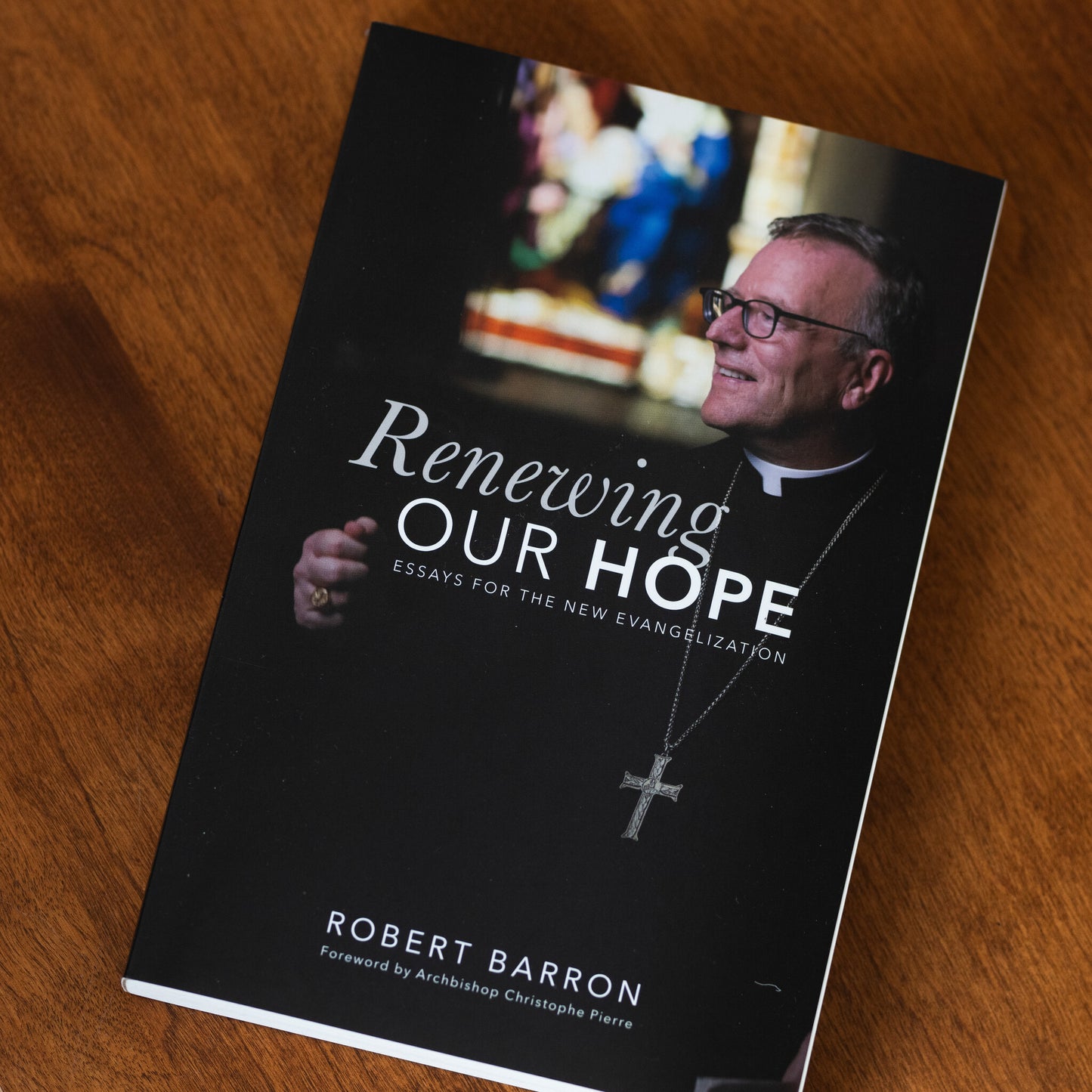 Renewing Our Hope: Essays for the New Evangelization