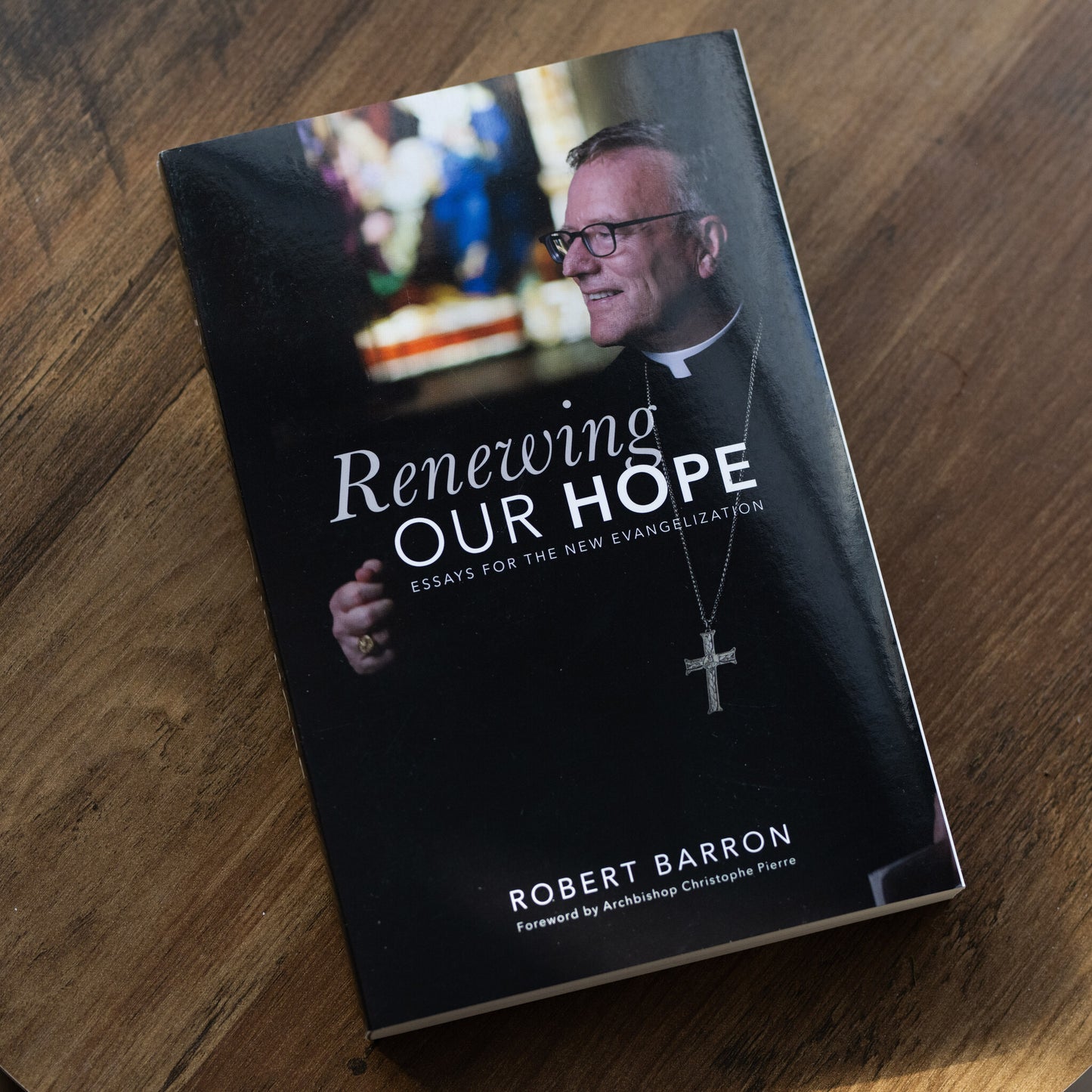 Renewing Our Hope: Essays for the New Evangelization