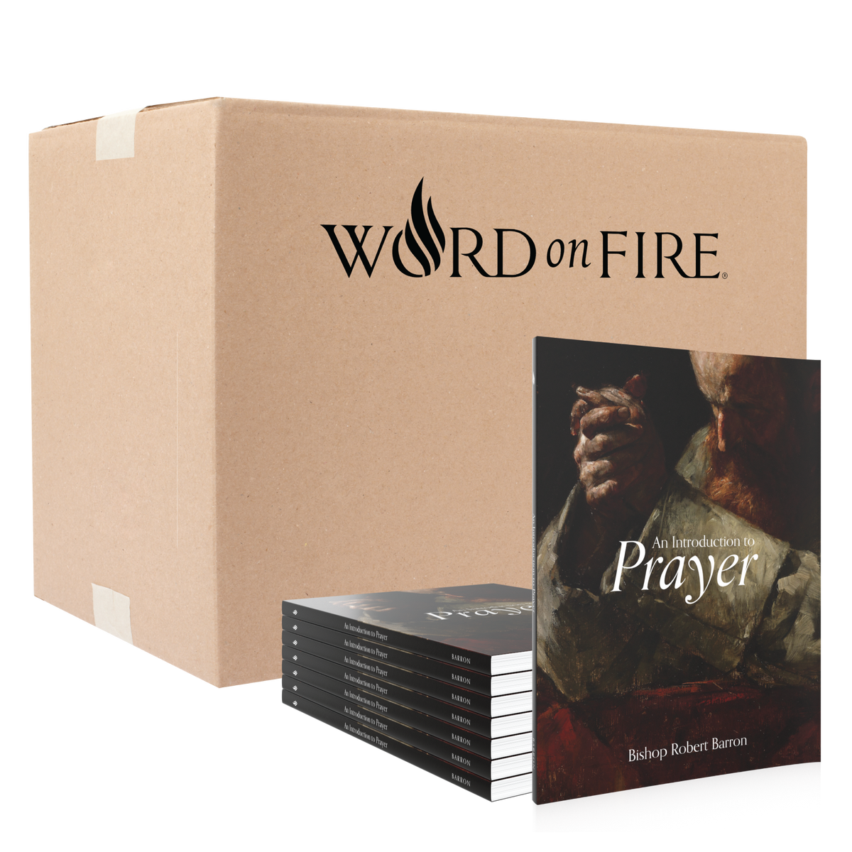 An Introduction to Prayer – Word on Fire