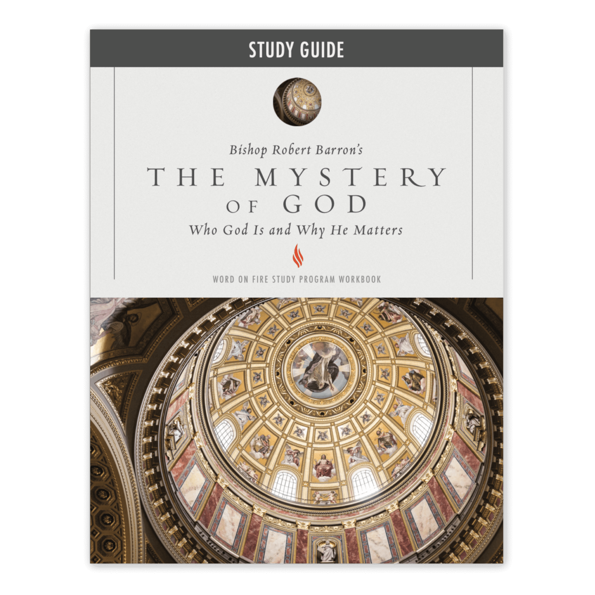 Study Guide Understanding God Mystery of God Study Guide – Word on Fire