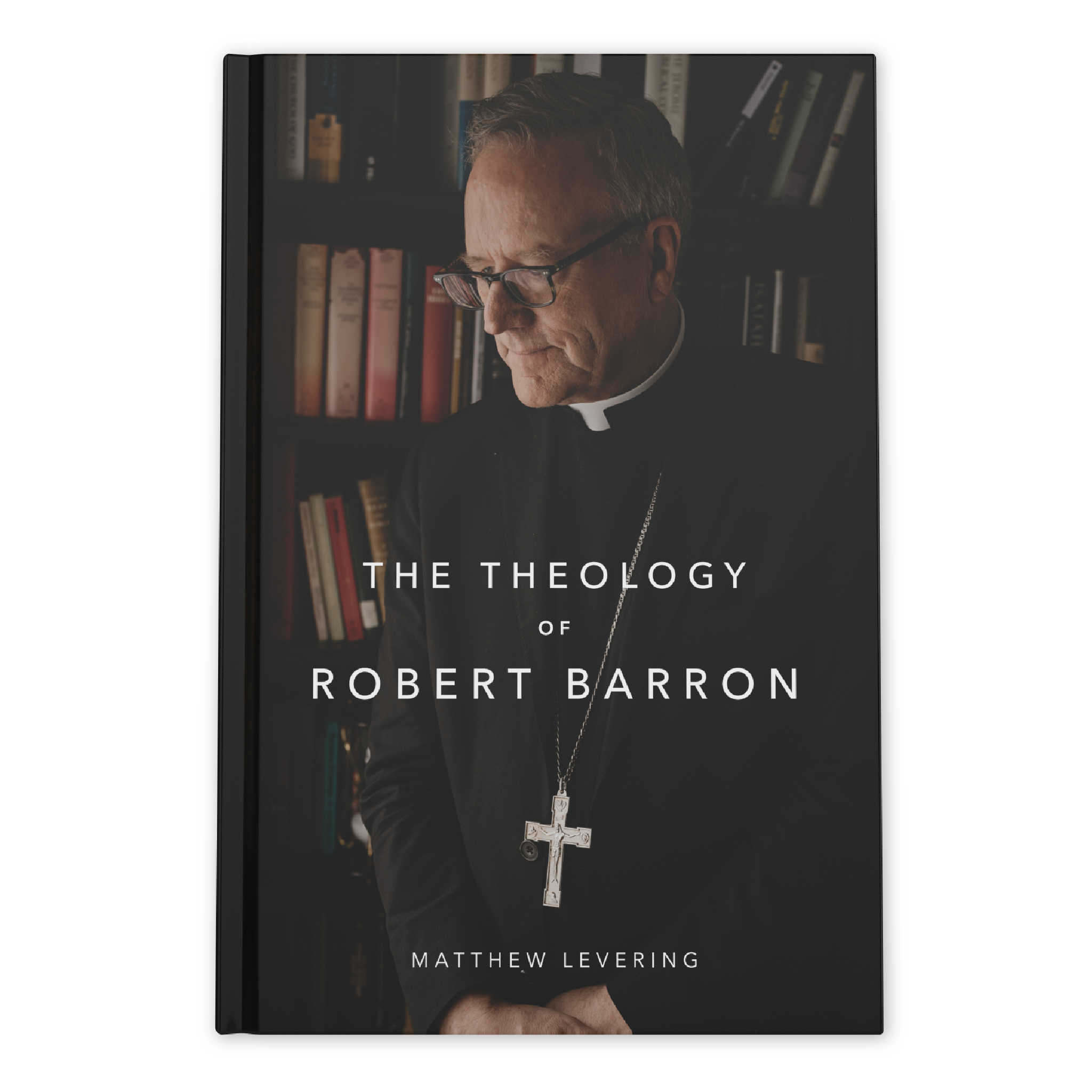 The Theology of Robert Barron