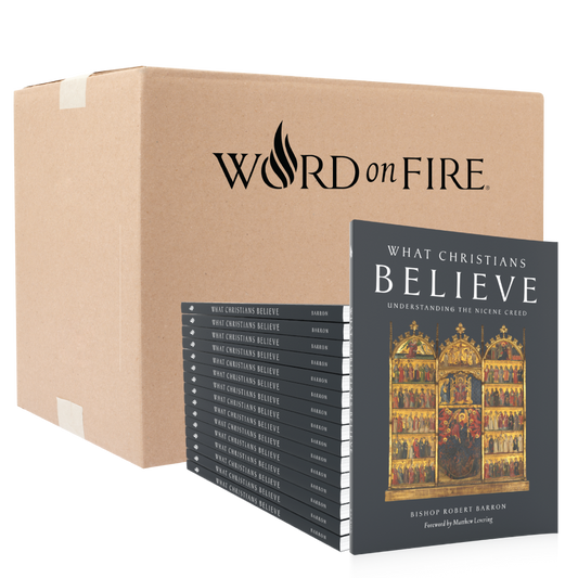 What Christians Believe - Box of 20