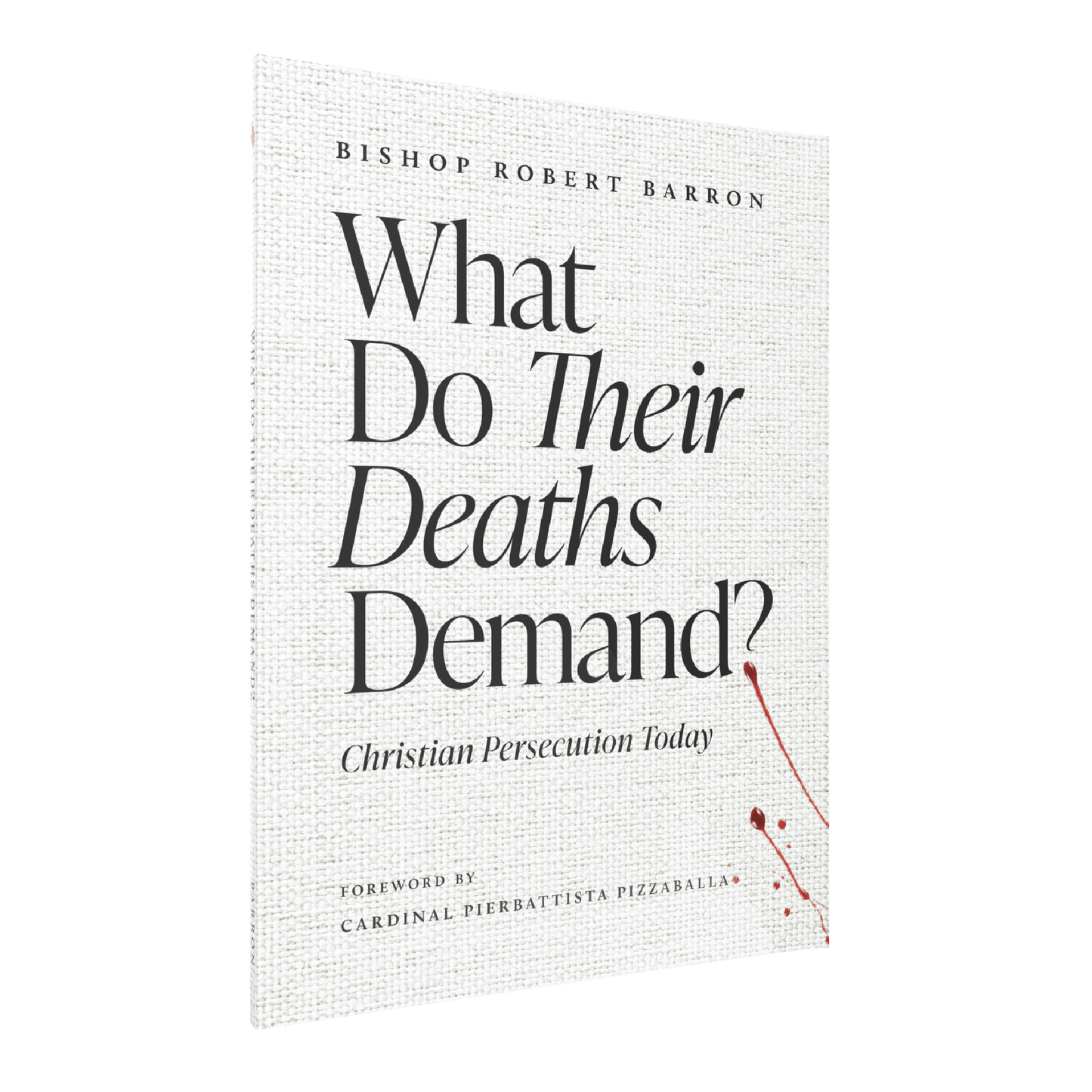What Do Their Deaths Demand?