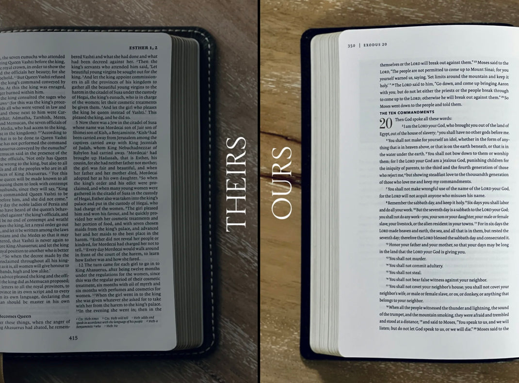 The Word on Fire Bible (Volume IV): The Promised Land