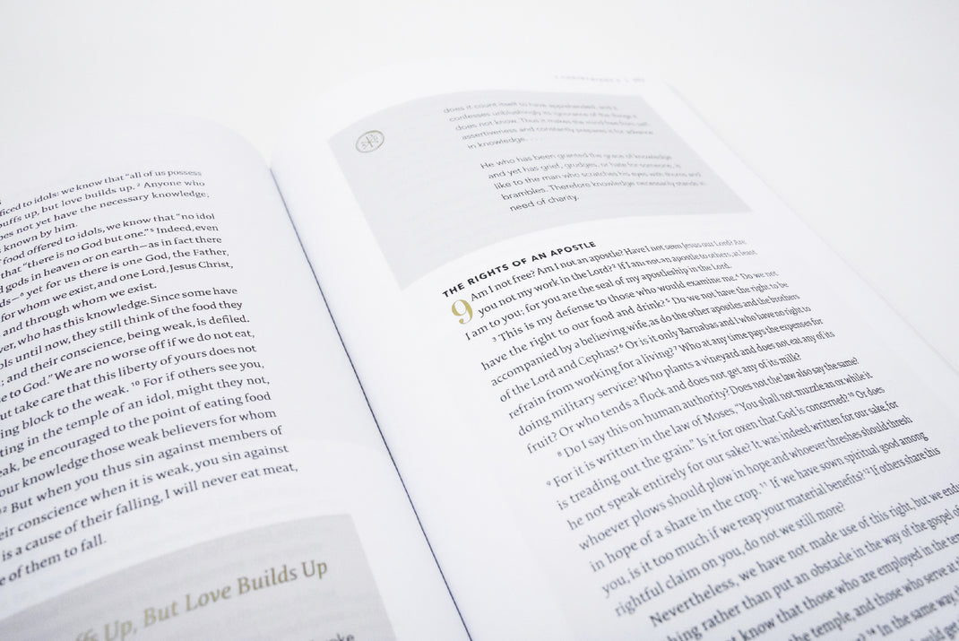 The Word on Fire Bible (Volume IV): The Promised Land