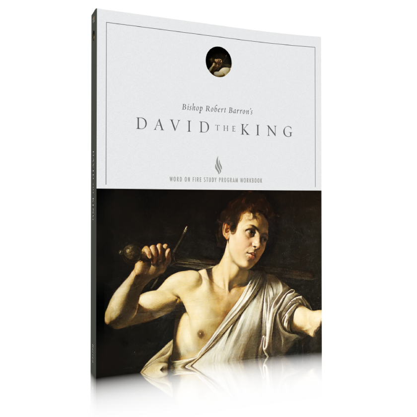 David the King Study Guide