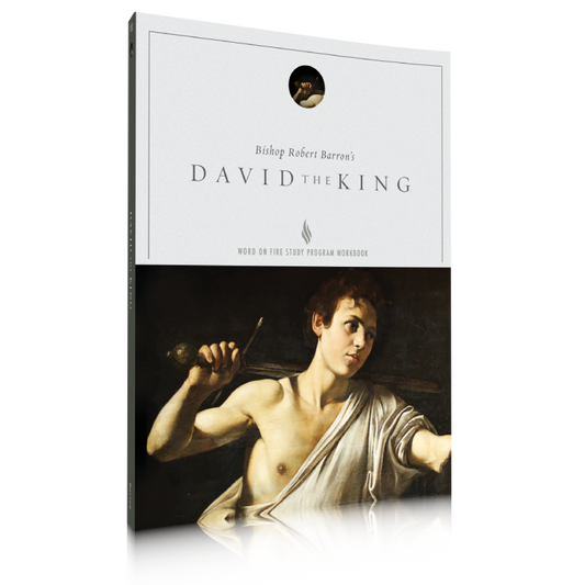 David the King Study Guide