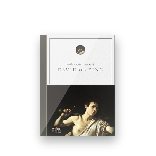 David the King - Film