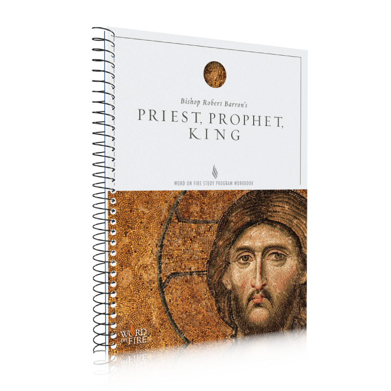 Priest, Prophet, King Study Guide