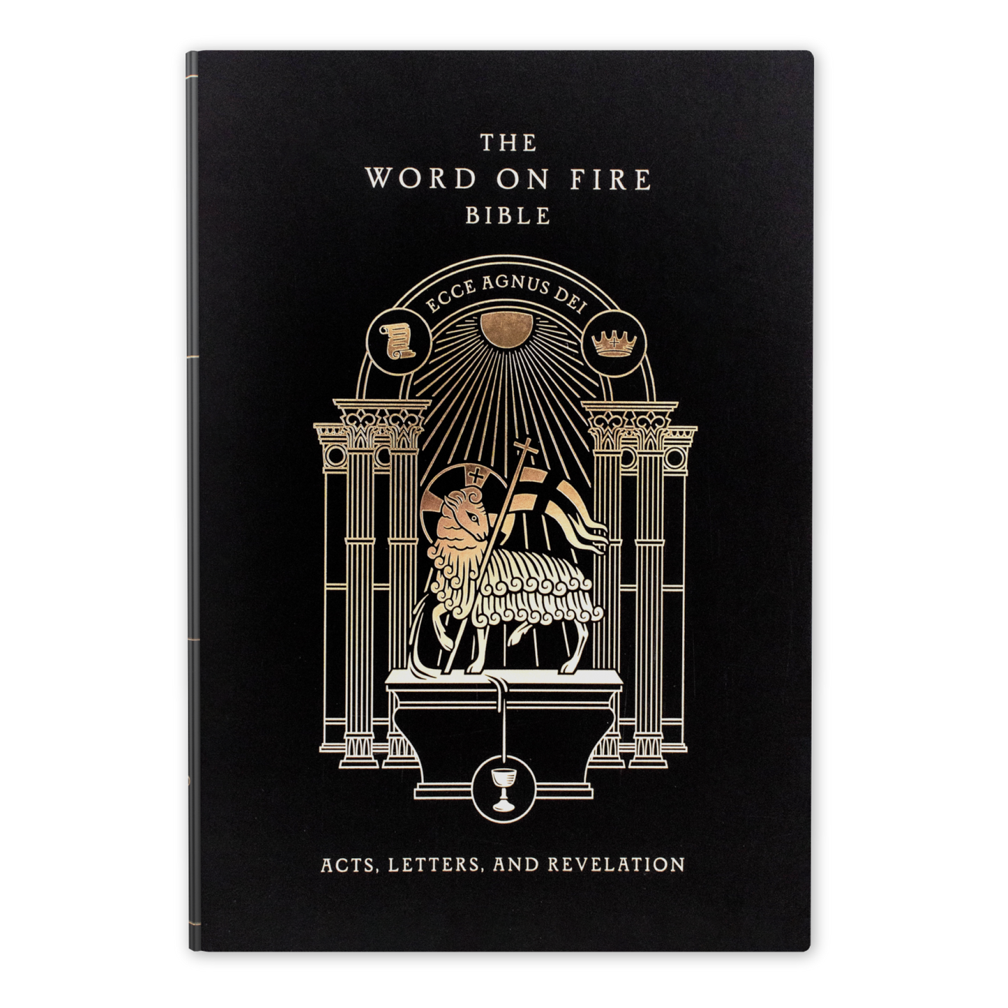 The Word on Fire Bible (Volume II): Acts, Letters and Revelation
