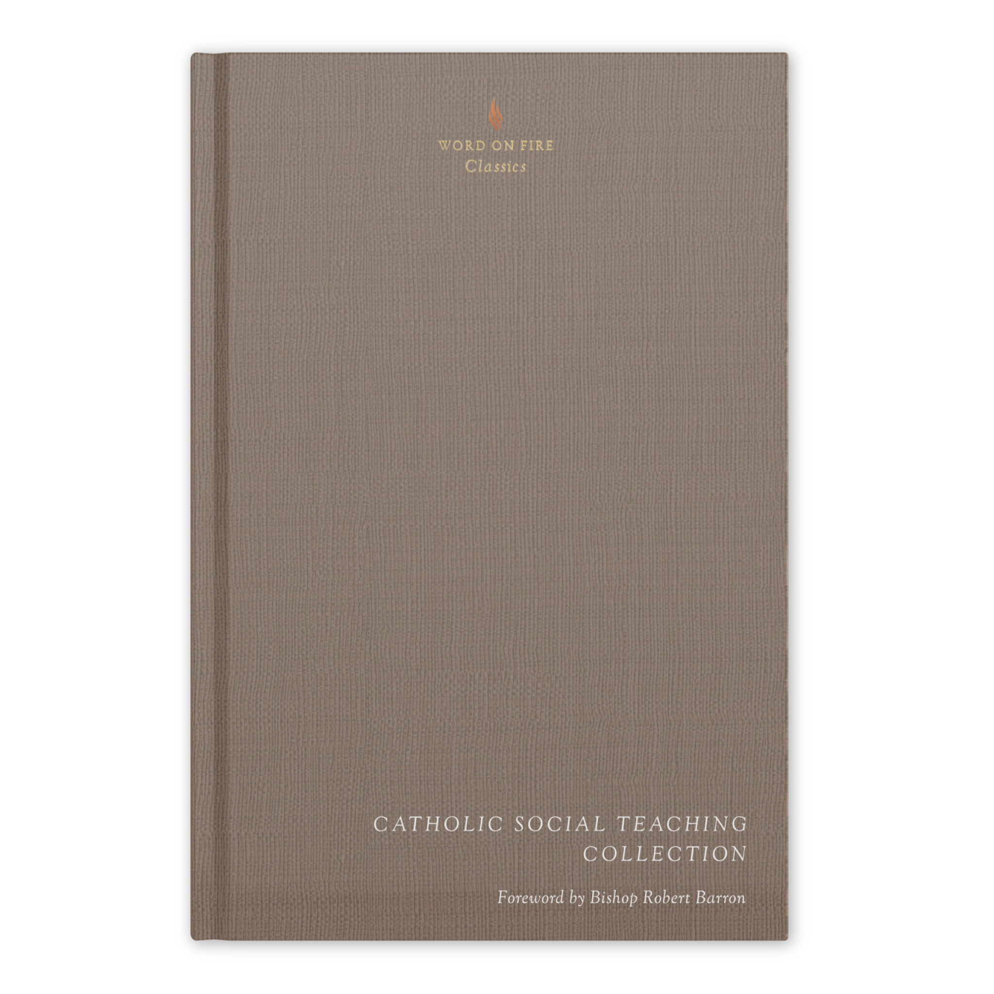 Catholic Social Teaching Collection