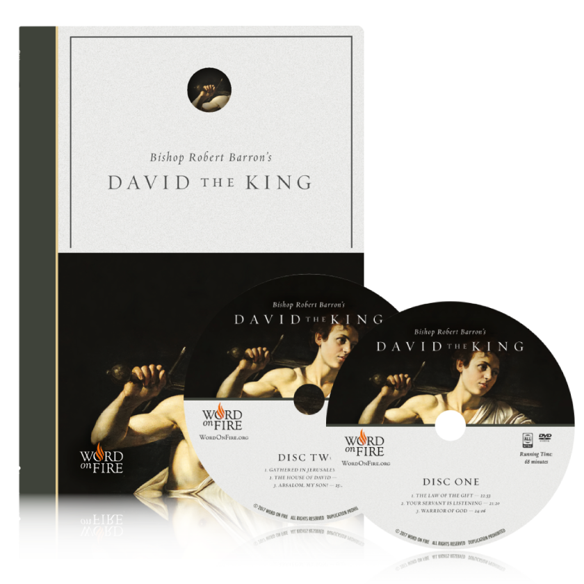 David the King - Film